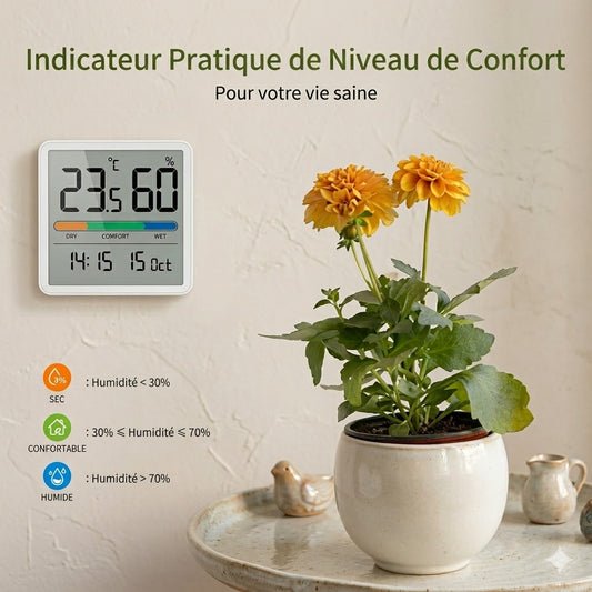 Hygromètre Thermomètre Intérieur — Affichage LCD